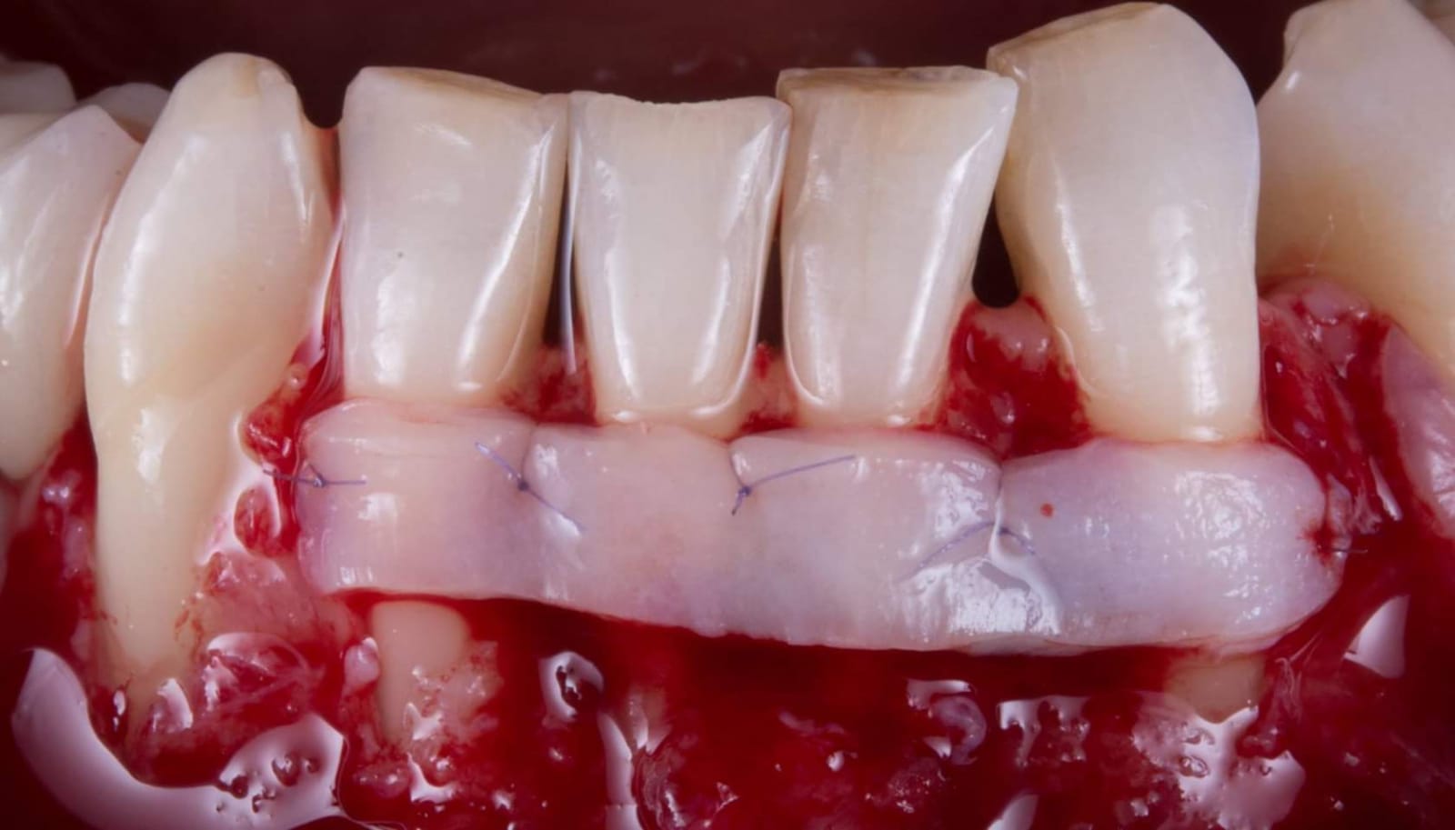 WhatsApp Image 2019-03-13 at 18.15.31