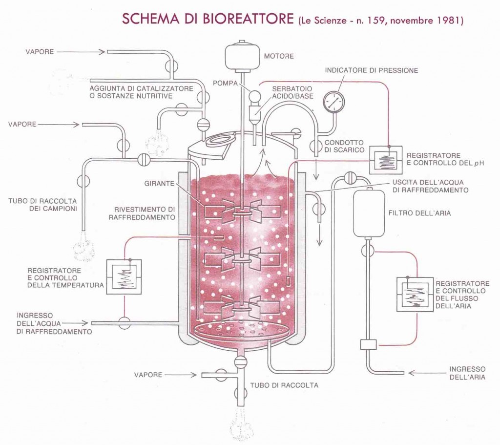 schema-di-bioreattore-1024x911